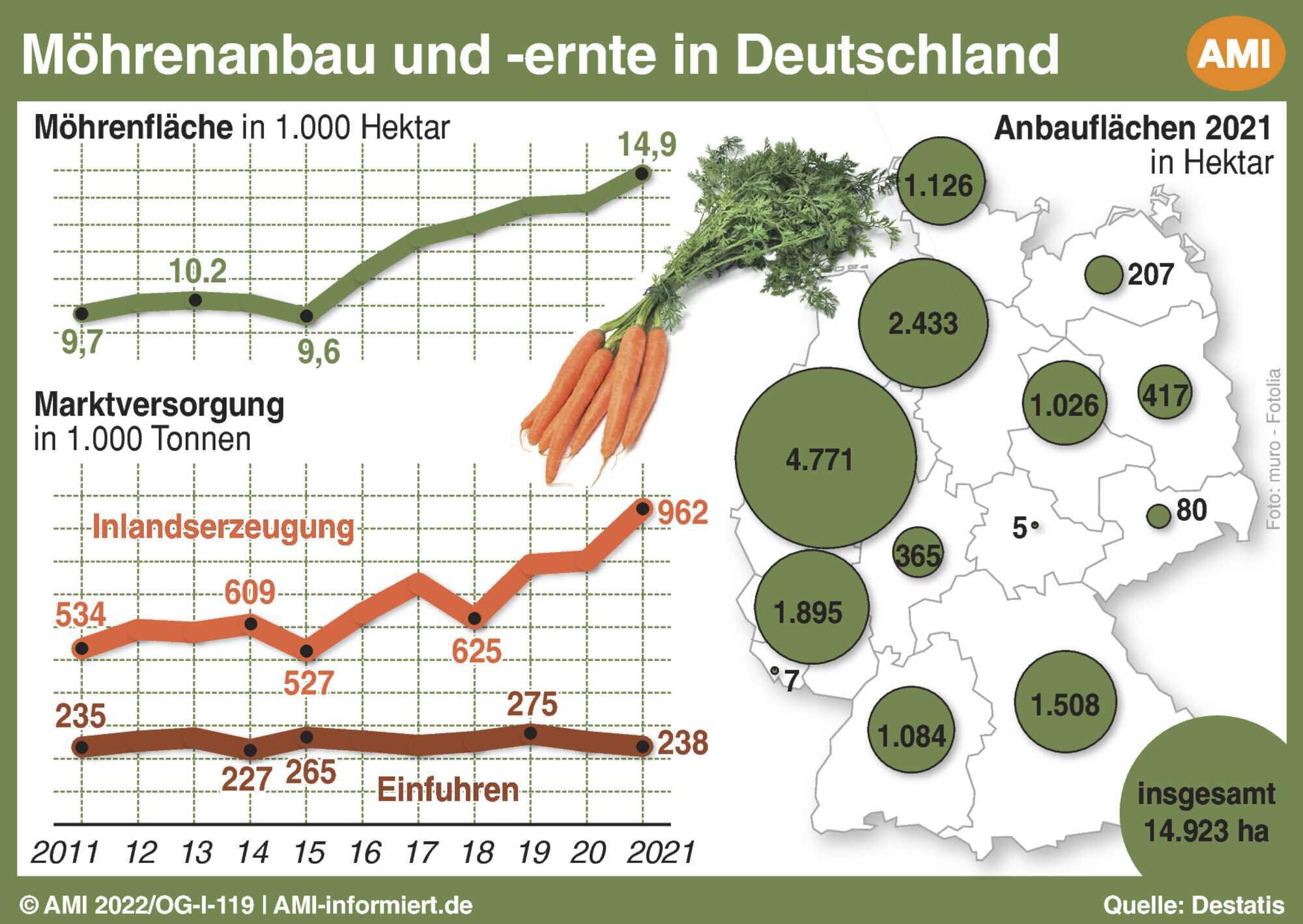Mohn mahlen oder nicht? - Bayerisches Landwirtschaftliches Wochenblatt  25-2021