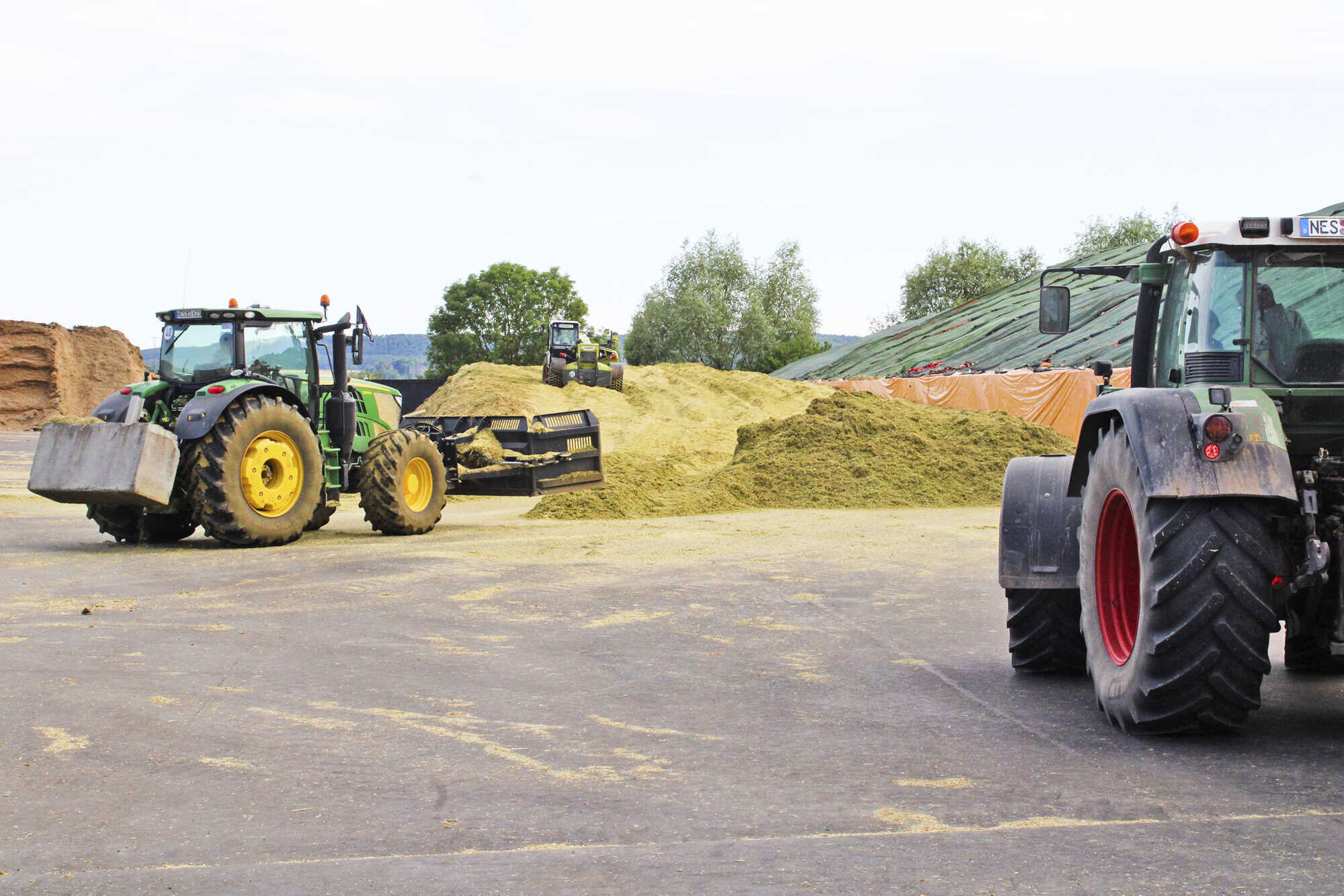 Zusammenhelfen - Bayerisches Landwirtschaftliches Wochenblatt 26-2022