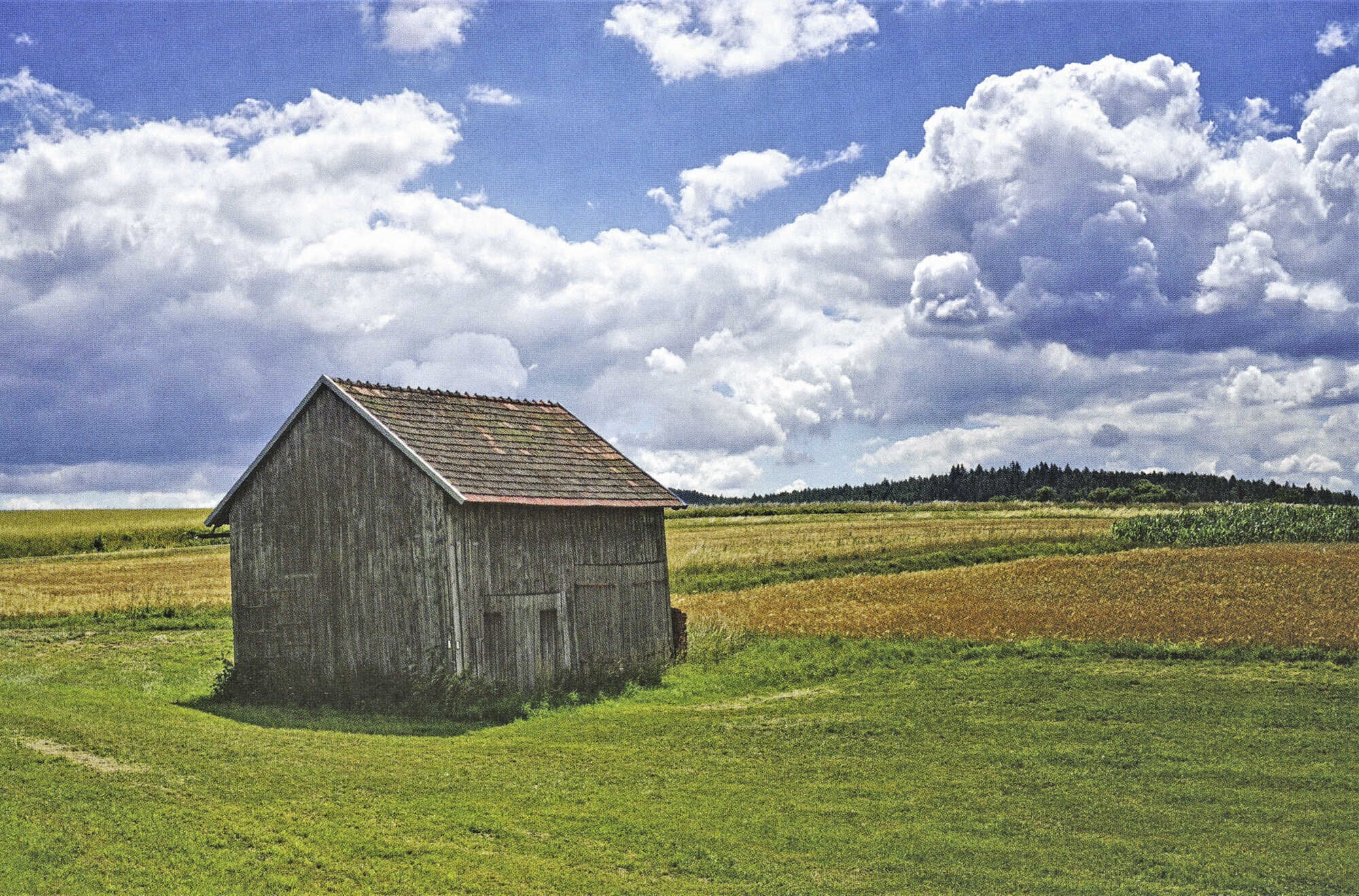 Alte Scheunen: Bilder von hölzerner Vergänglichkeit - Bayerisches  Landwirtschaftliches Wochenblatt 18-2022