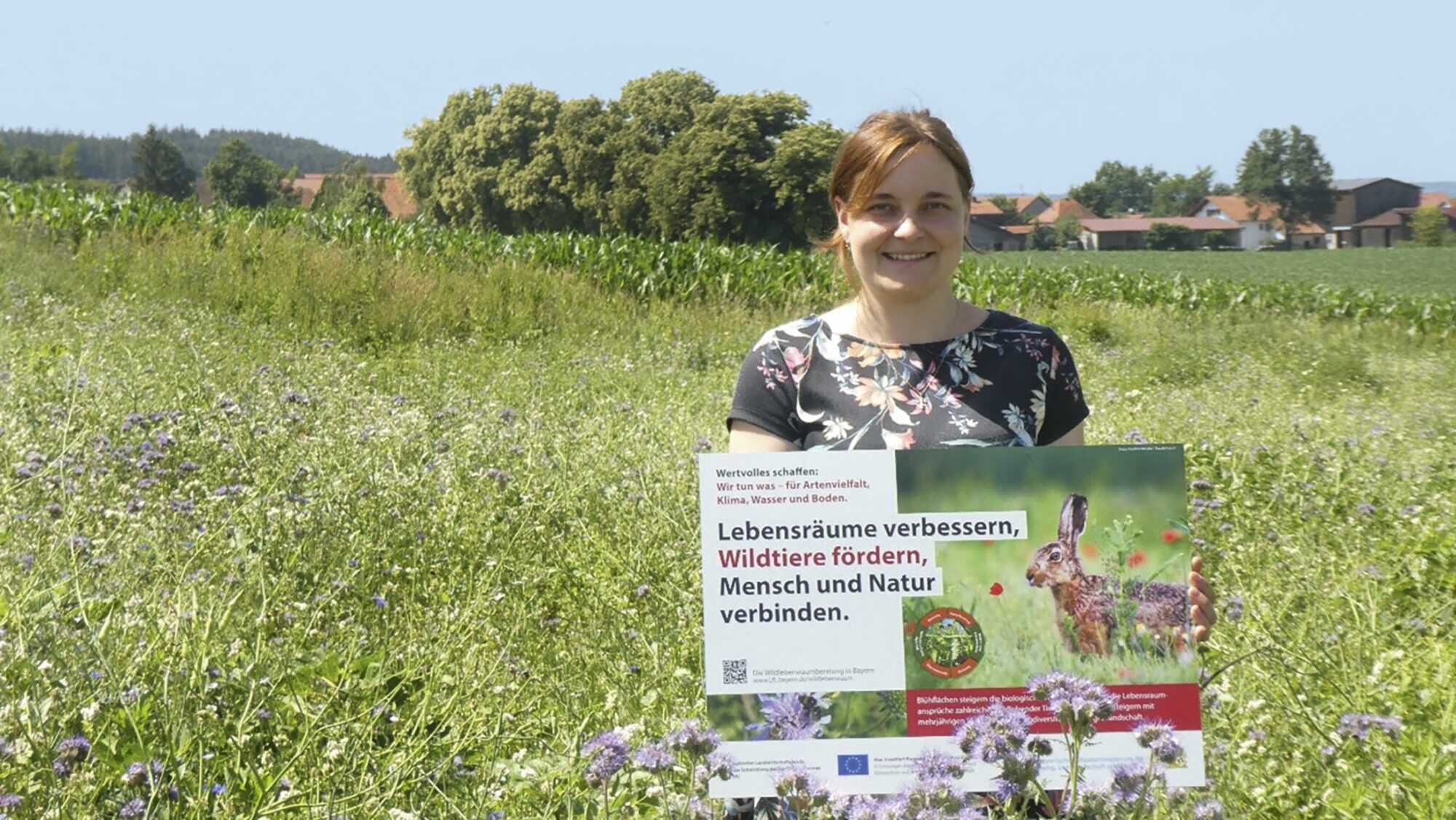 ein-acker-nur-f-r-insekten-bayerisches-landwirtschaftliches