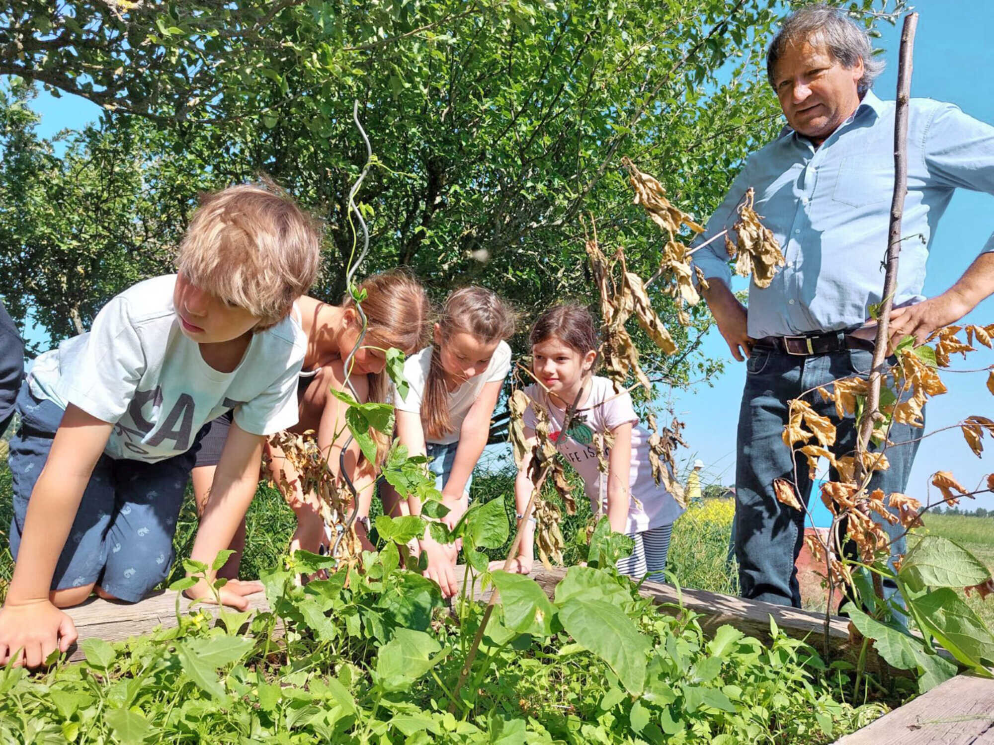 Landwirtschaft Erleben - Bayerisches Landwirtschaftliches Wochenblatt ...