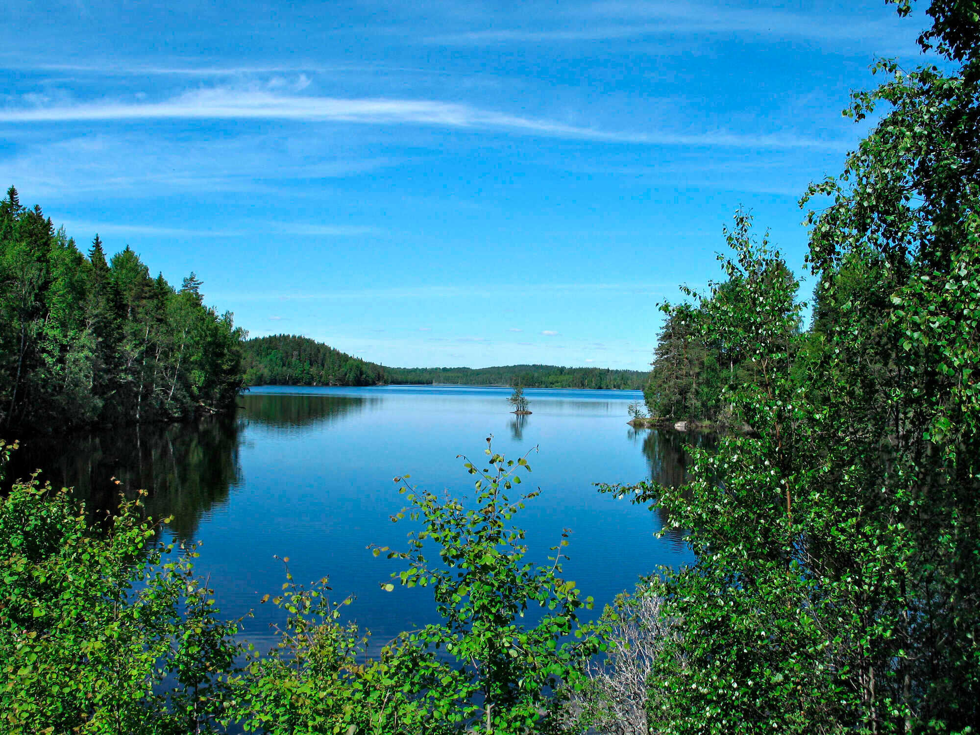 Schweden: Wald, Wasser und Weite - LAND & FORST 10-2022