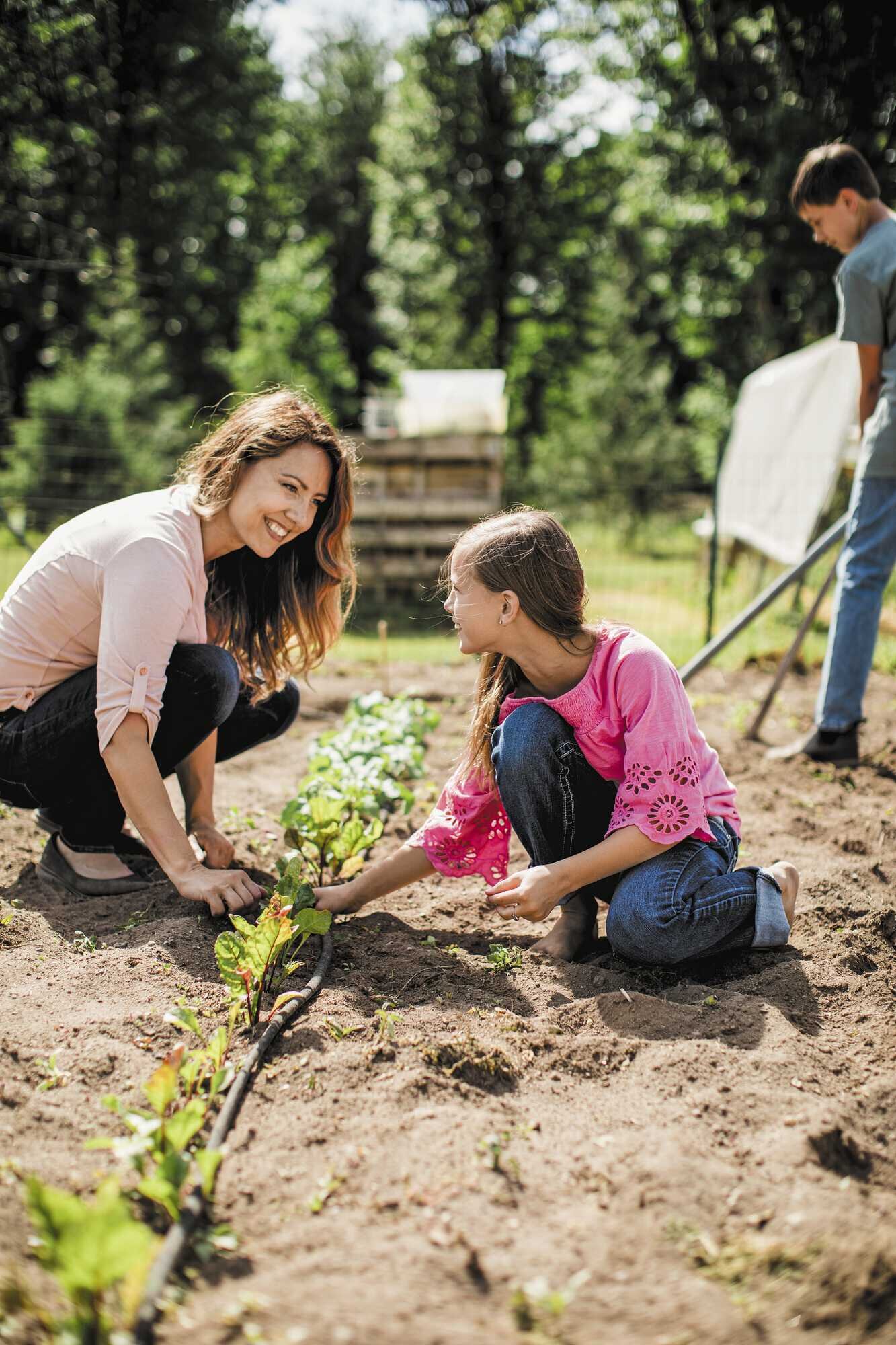 Ein Familiengarten Zum Satt Werden LAND FORST 16 2022