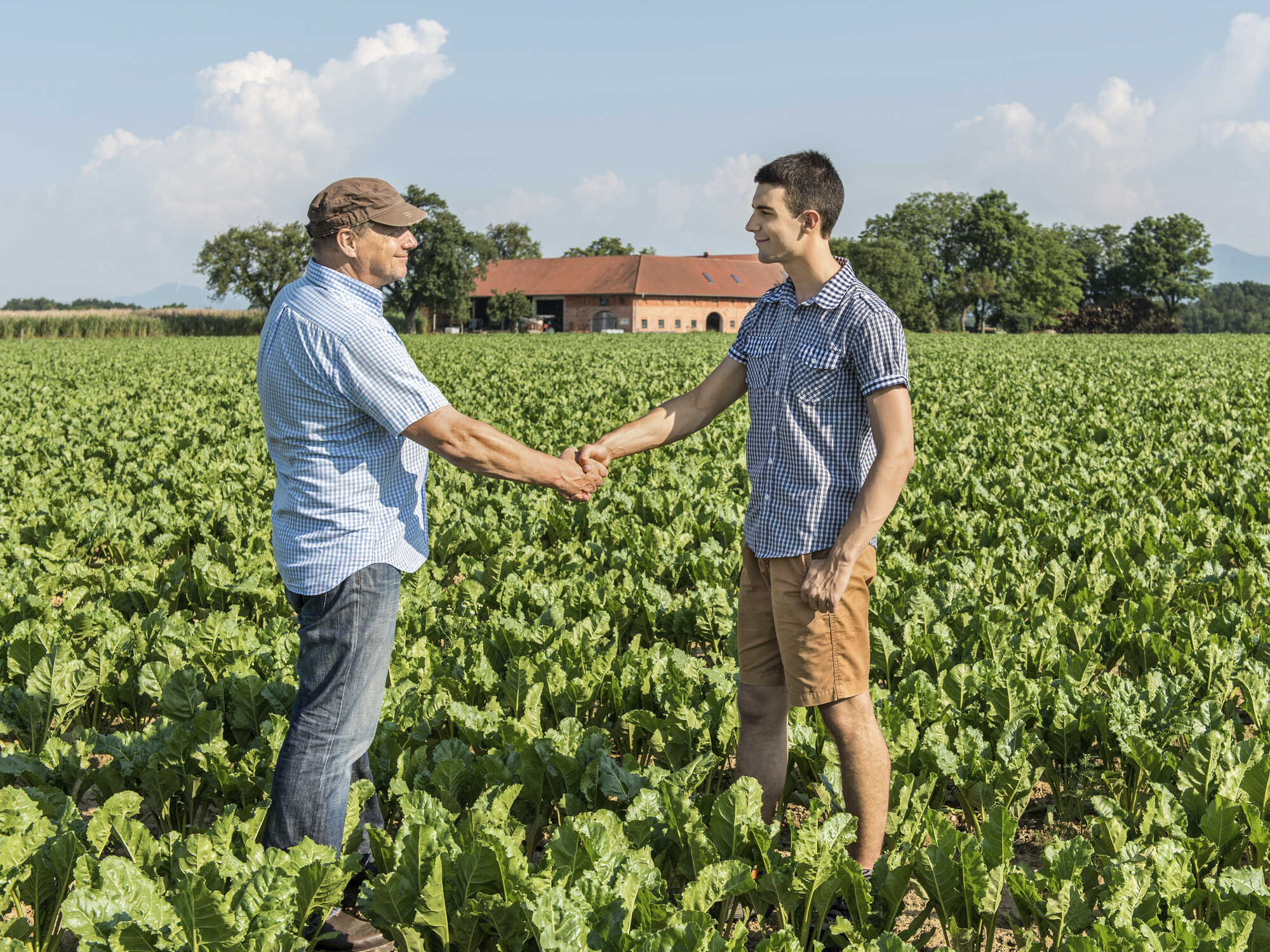 Wann Endet Das Pachtverhältnis? - LAND & FORST 33-2022