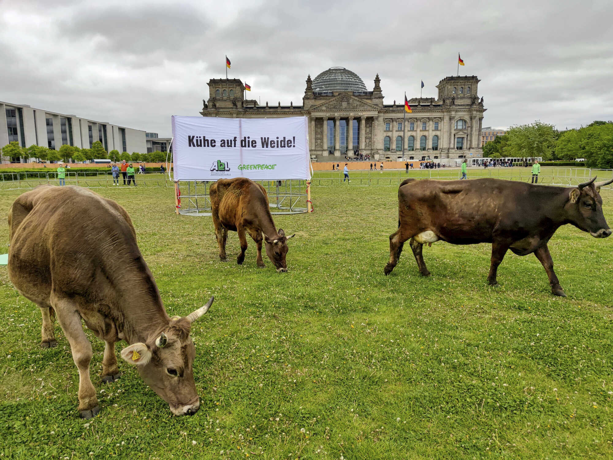 Kühe grasen vor dem Reichstag - LAND & FORST 20-2023