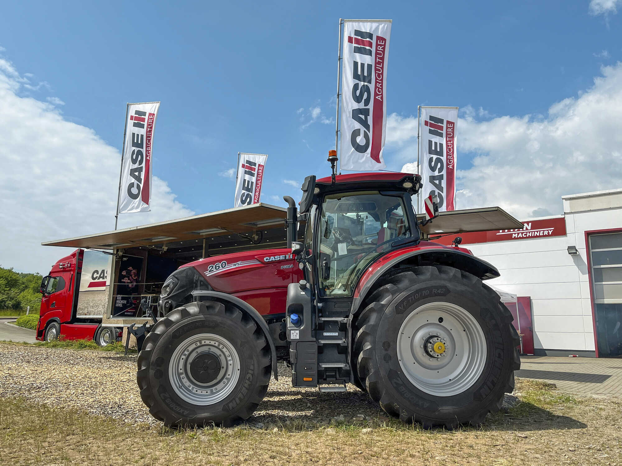 Neue Raubkatze F Hrt Leise Bers Feld Land Forst