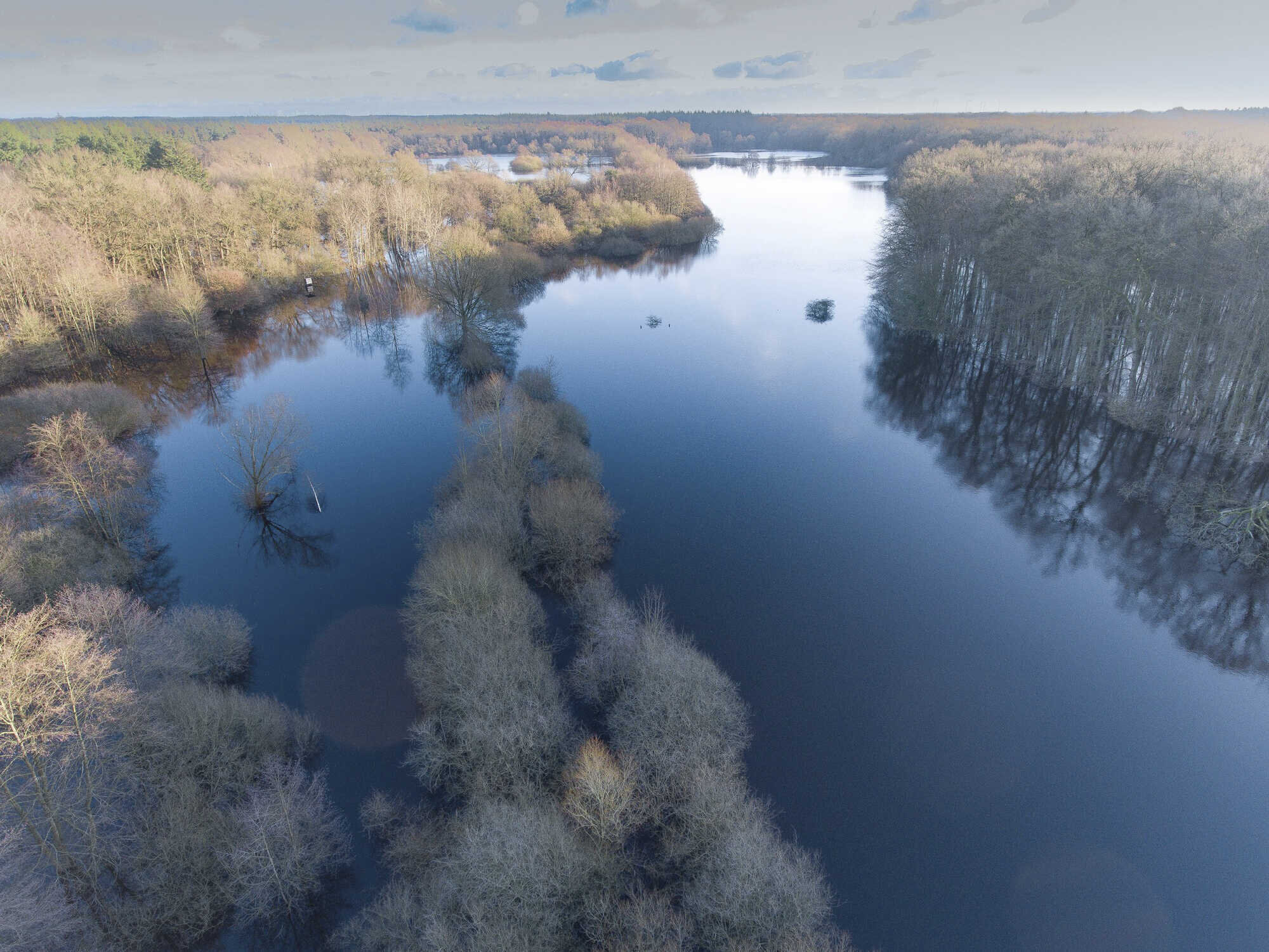 Dem Wald Steht Das Wasser Bis Zum Hals Land And Forst 2 2024