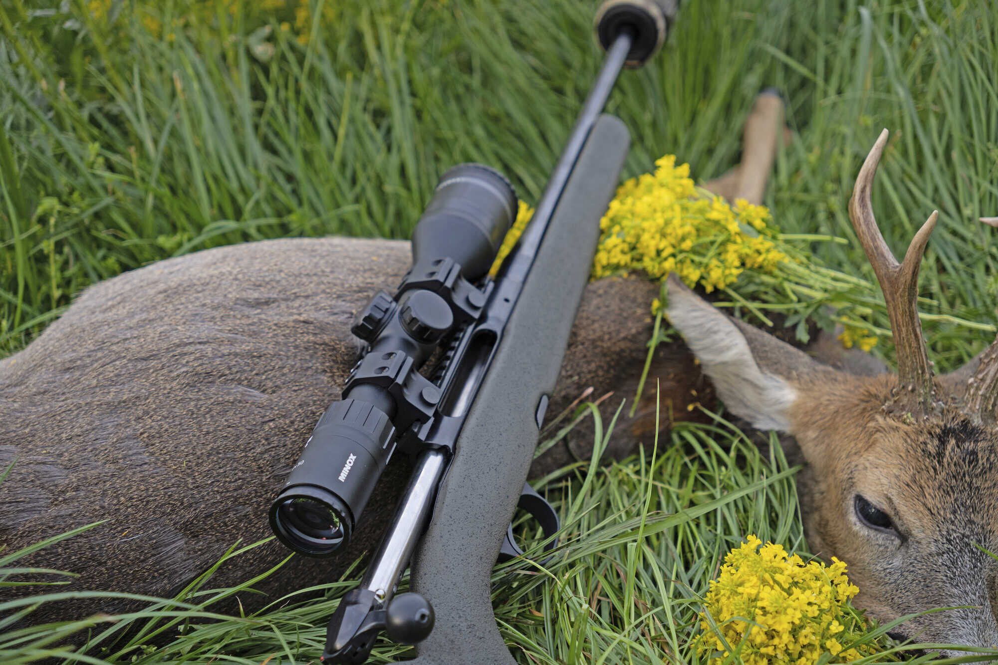 Zielfernrohr Minox Allrounder X Unsere Jagd