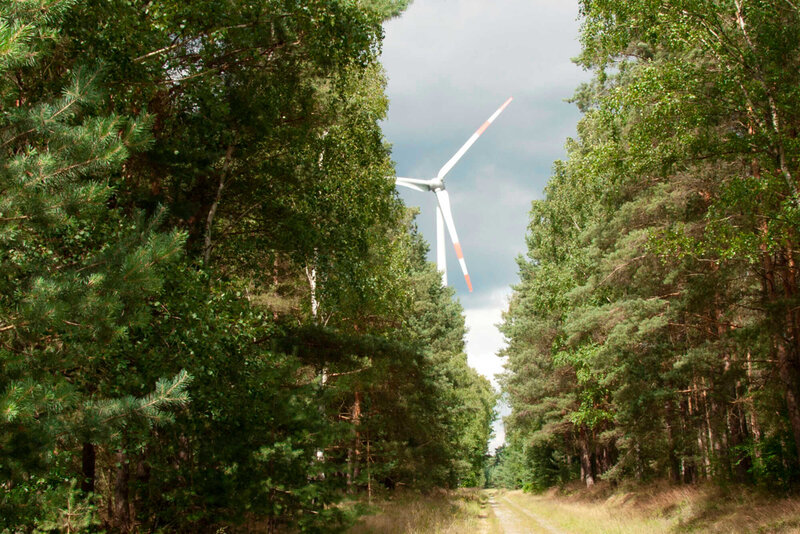 Naturverträgliche Windenergie Im Wald - AFZ DerWald 9-2021