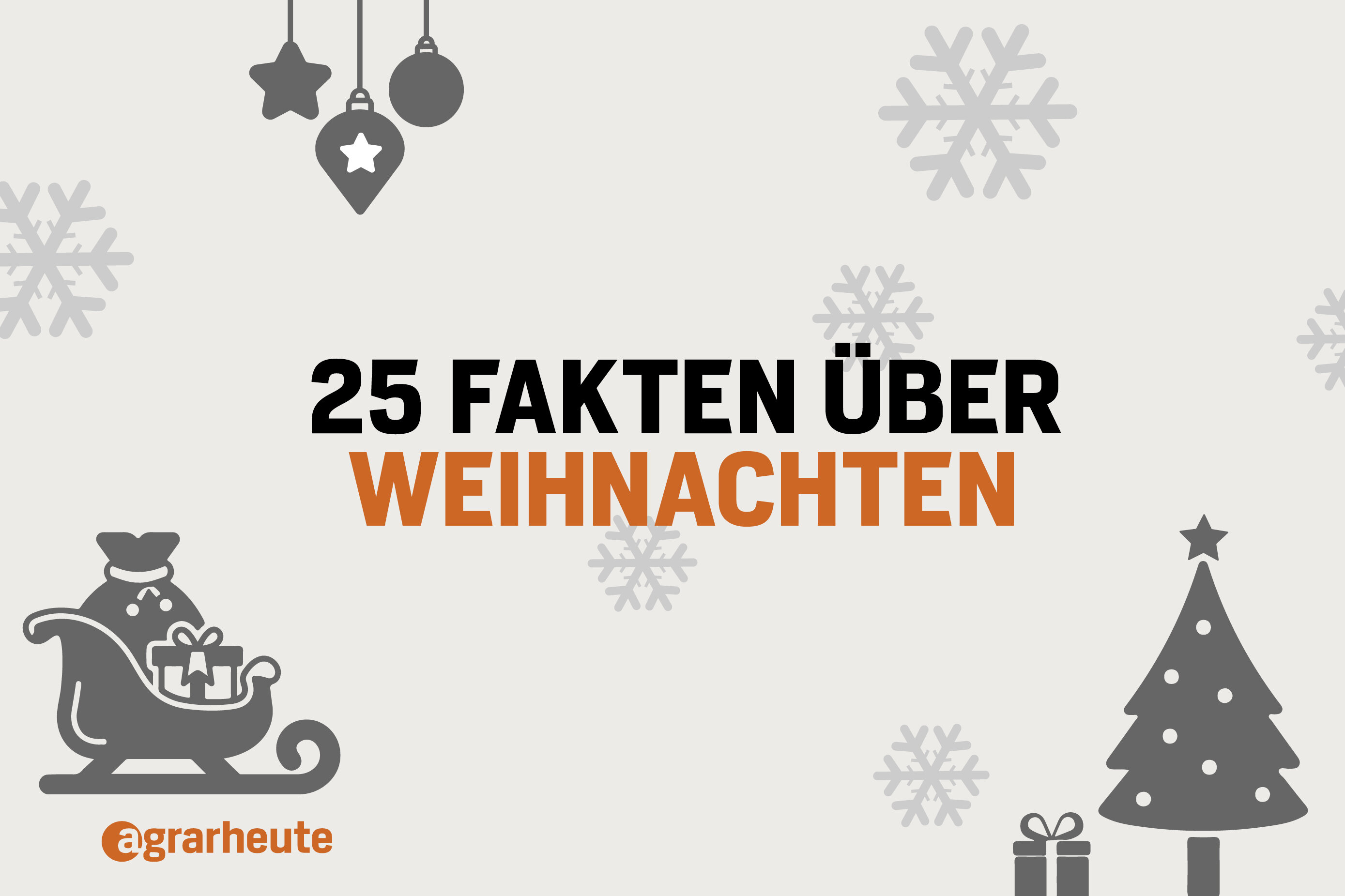 25 Fakten über Weihnachten - Agrarheute 12-2022