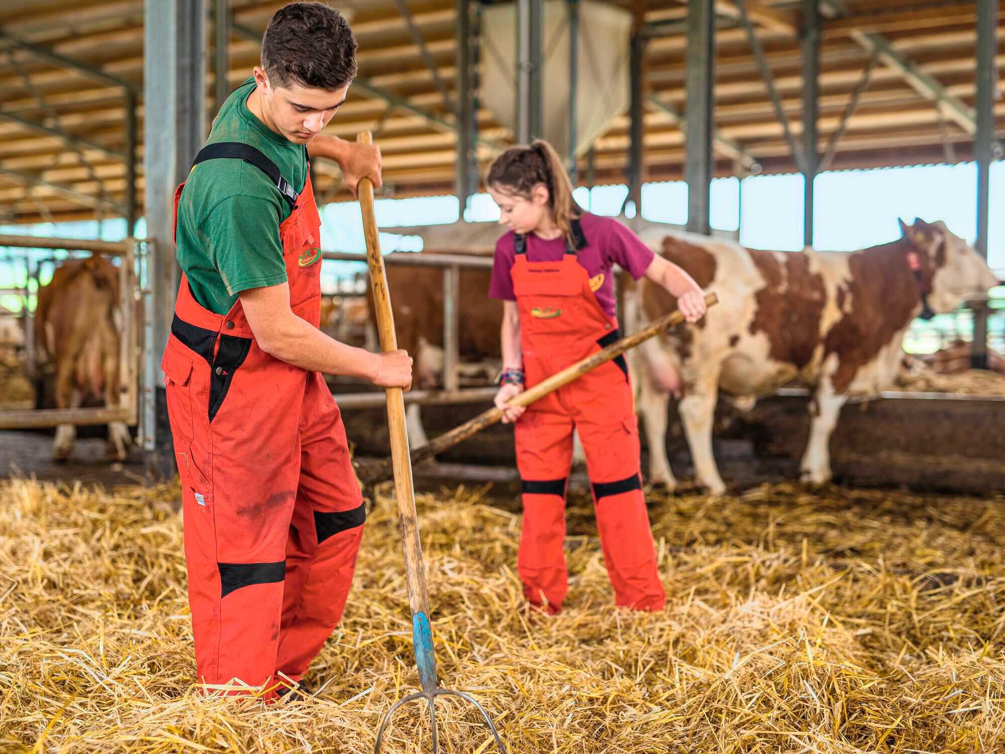 Landwirt Als Beruf Attraktiv - BLW 39-2021