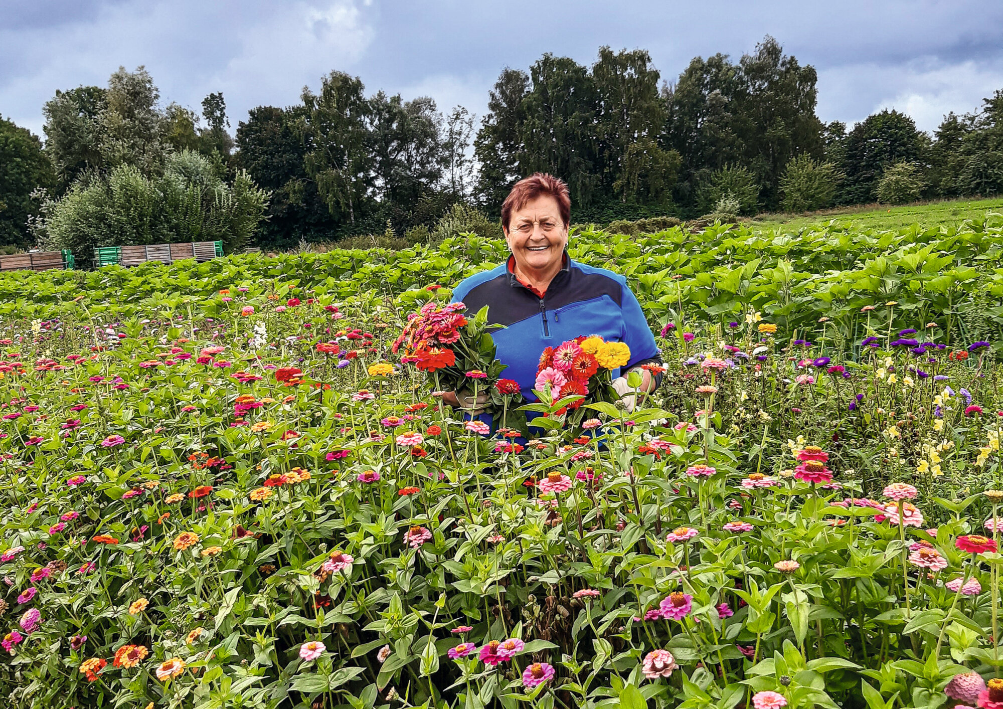 Blumenmeer - Bayerisches Landwirtschaftliches Wochenblatt 44-2021