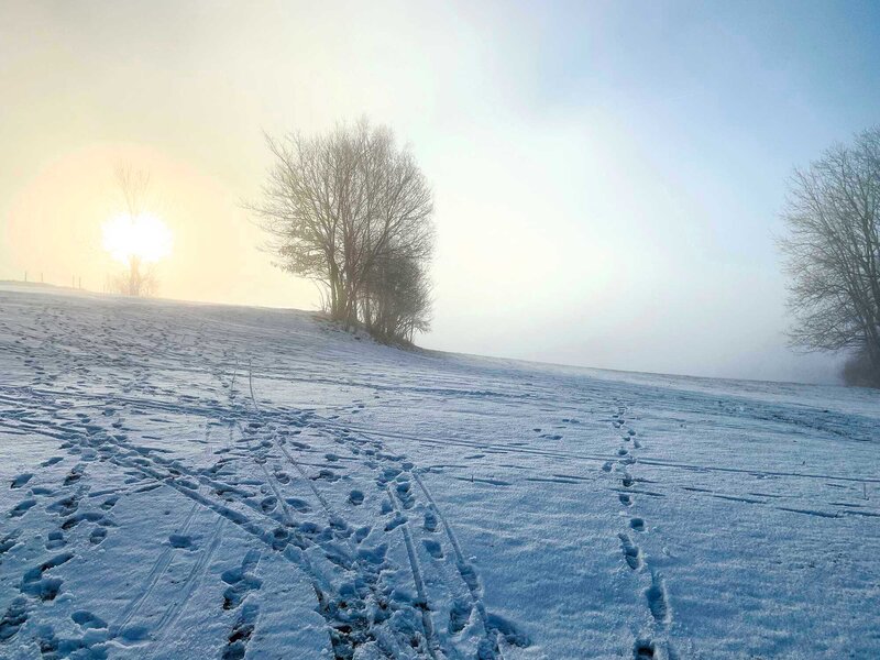 Das Wetter In Bayern - Bayerisches Landwirtschaftliches Wochenblatt 4-2022