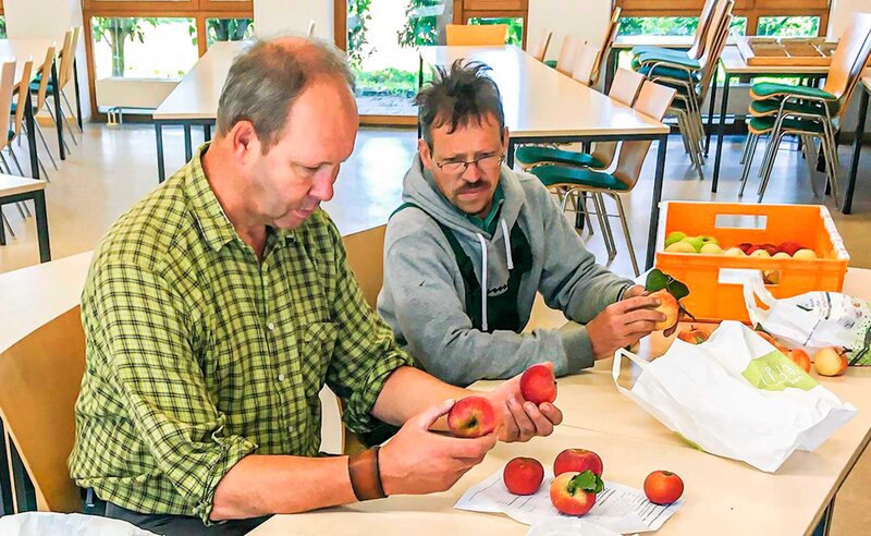 Die Alten Streuobstsorten Erhalten - Bayerisches Landwirtschaftliches ...