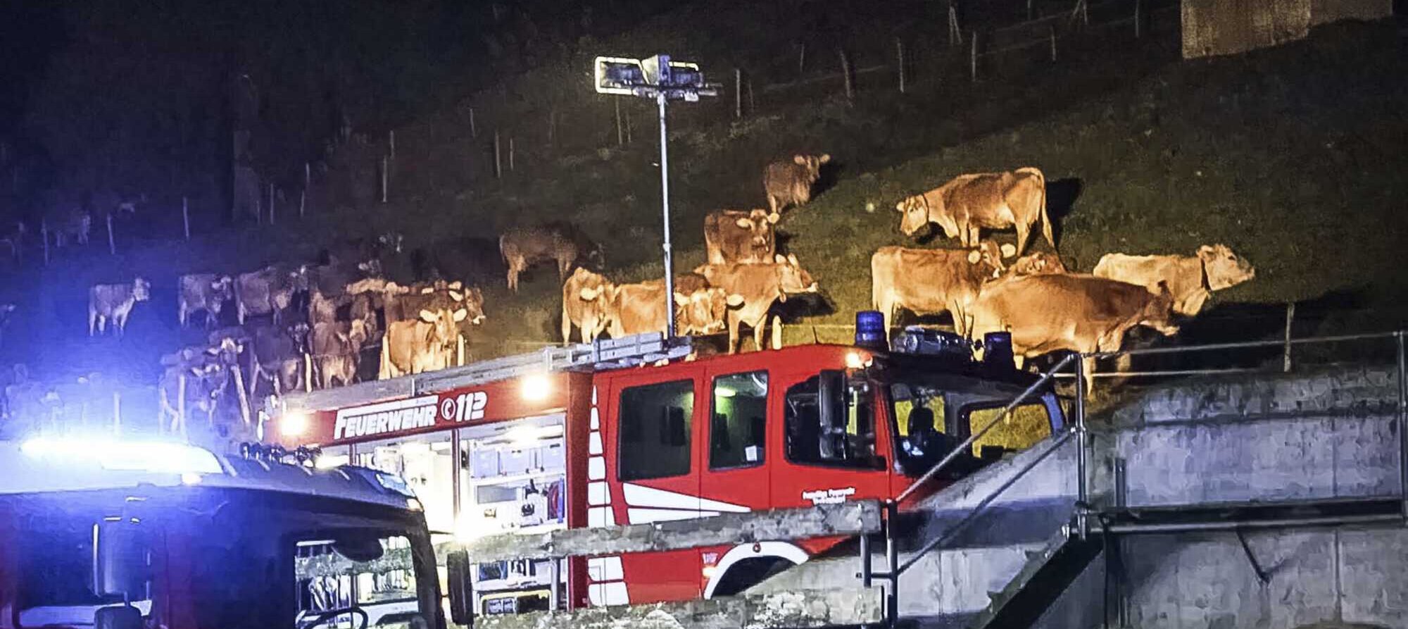 Riesige Solidarität Nach Stallbrand - Bayerisches Landwirtschaftliches ...