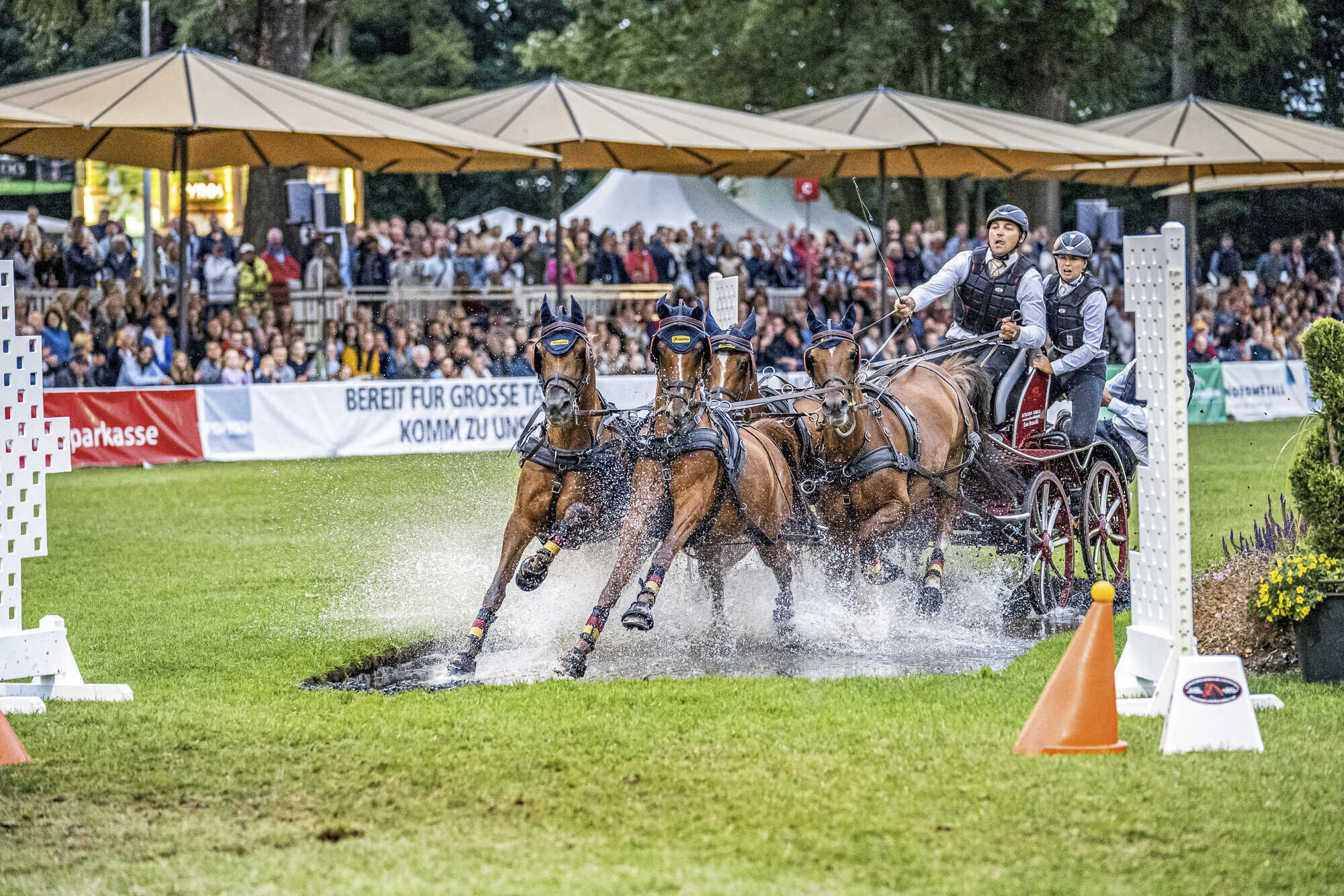 Spritziger Pferdesport vor beeindruckender Kulisse - LAND &amp; FORST 29-2023